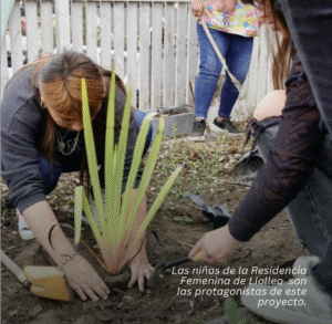 REGENERACIÓN SOCIOECOLÓGICA CON ENFOQUE ECOFEMINISTA : una nueva semilla en Ojos de Mar